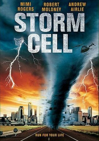 Штормовое предупреждение / Storm cell (2008/DVDRip/700MB/1400MB)